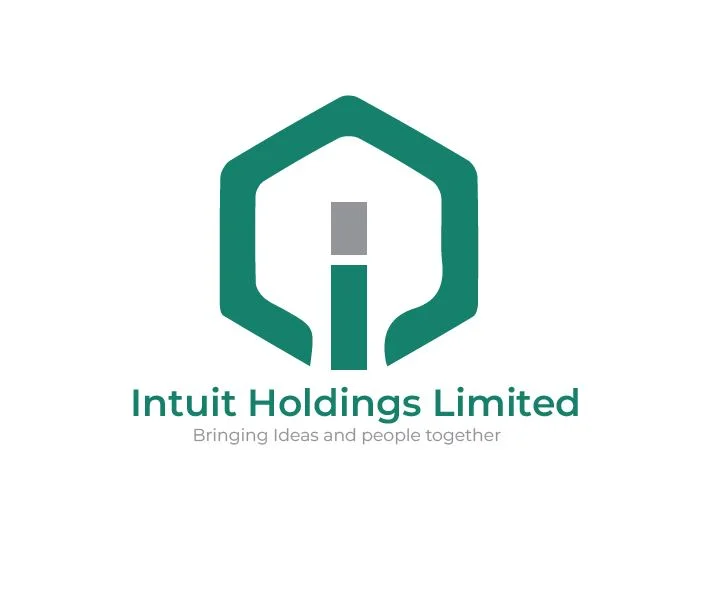 INTUIT HOLDINGS