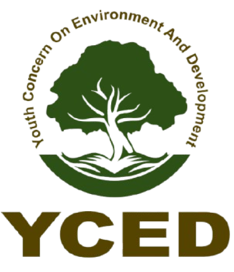 YCED